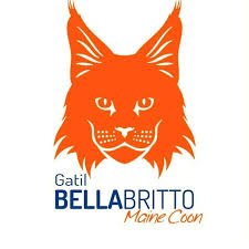 Bruna Britto, Gatil Bella Britto